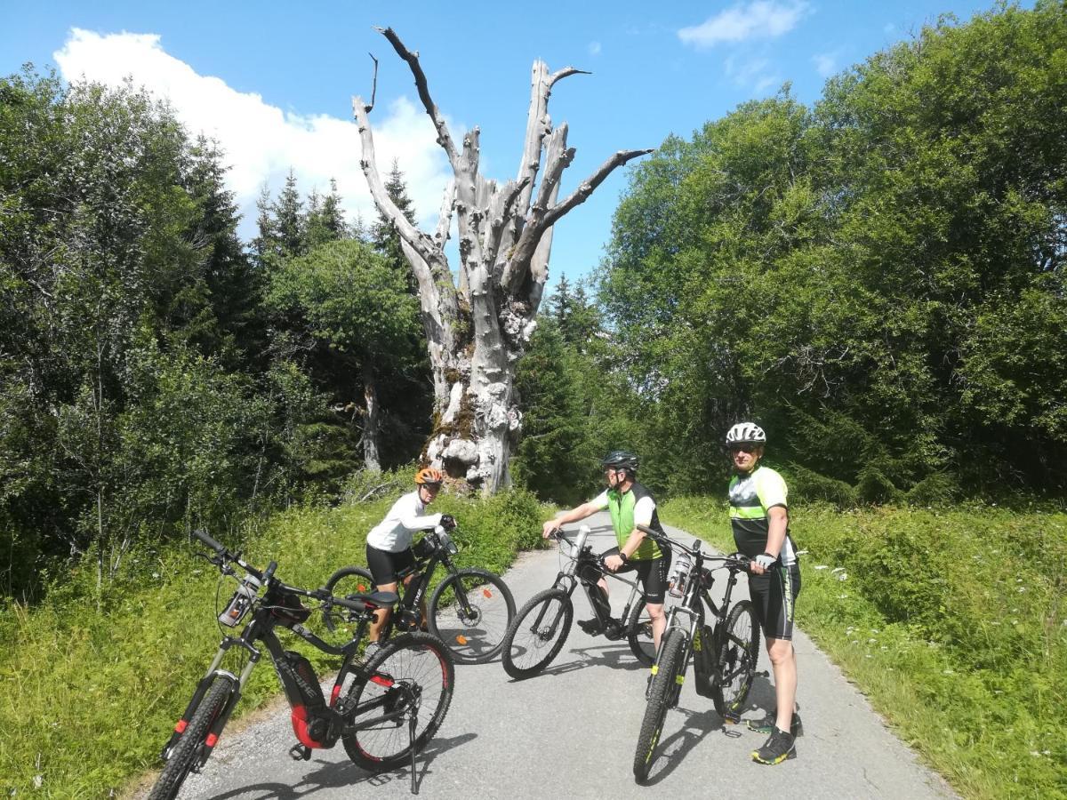Ferienhof Schaubmeier Klaffer am Hochficht Esterno foto