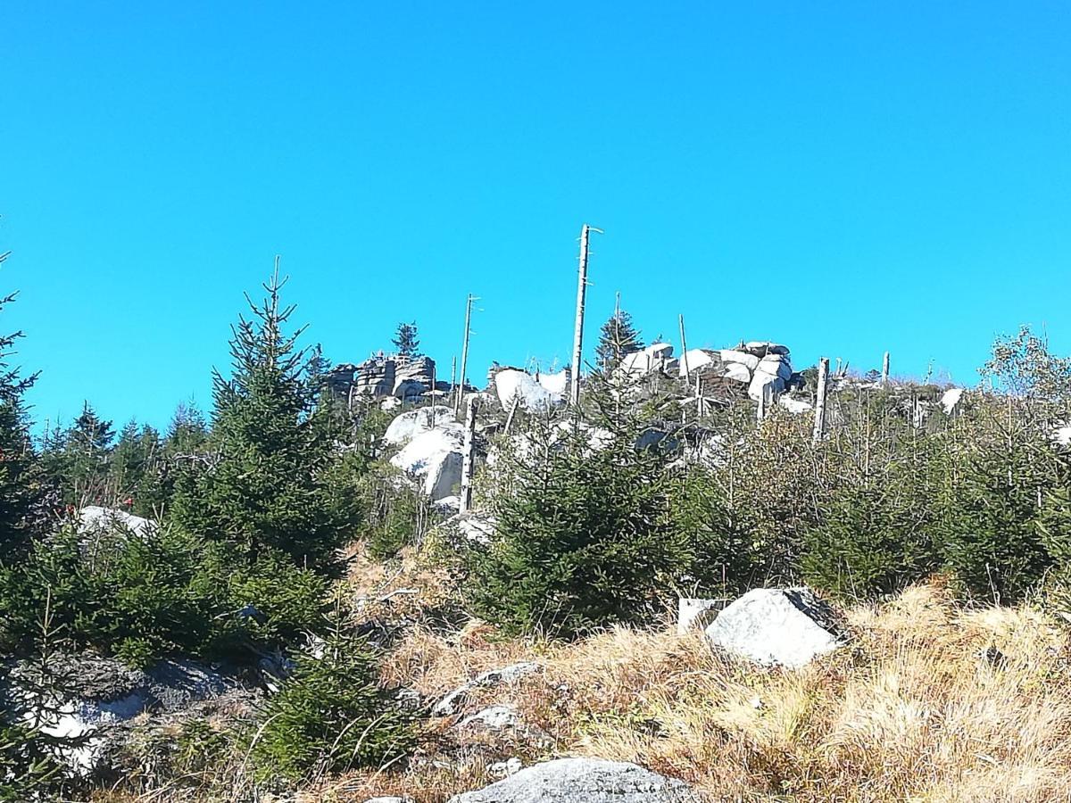 Ferienhof Schaubmeier Klaffer am Hochficht Esterno foto