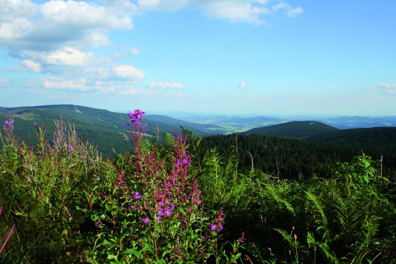 Ferienhof Schaubmeier Klaffer am Hochficht Esterno foto